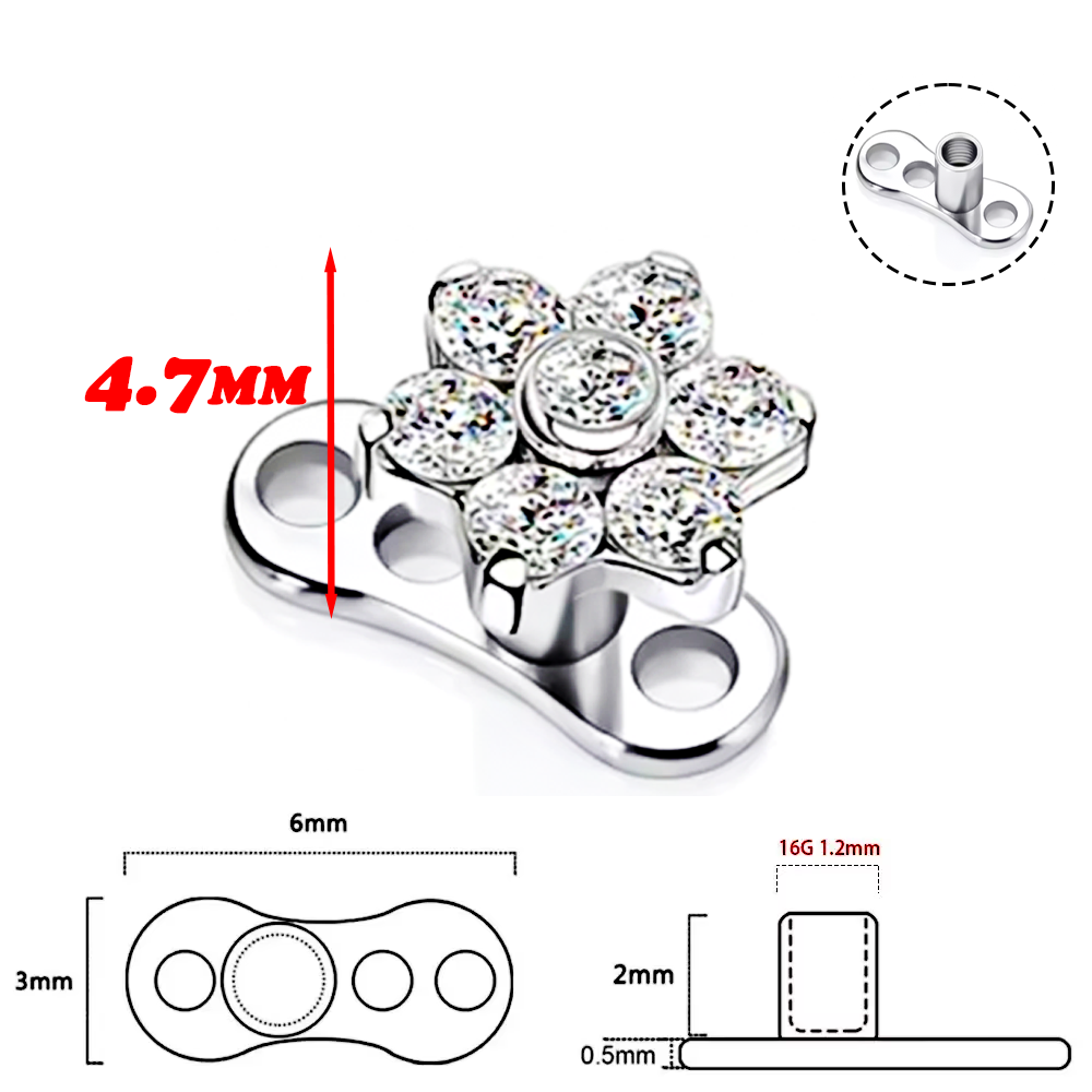 F136 Titanium Alloy High-Quali – Body Jewelry Implants recenzja i cena